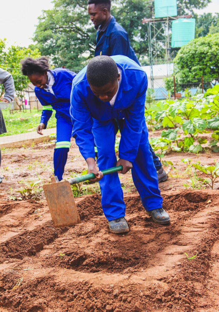 054dc715d4954cfd89404634806f0d24