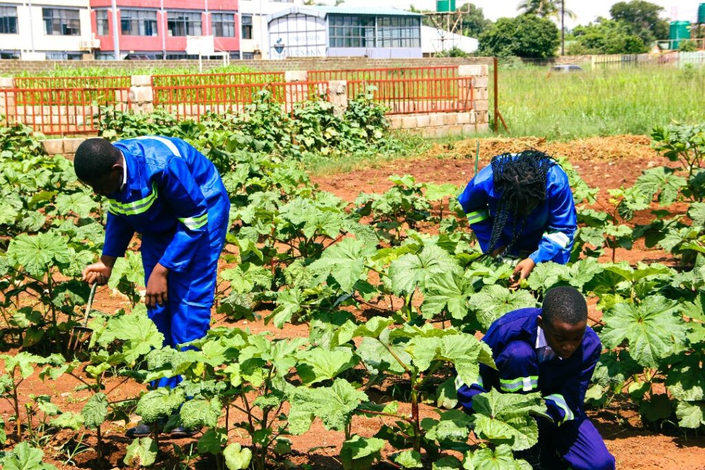 05d3d39a99244678bb8c2d516635802a