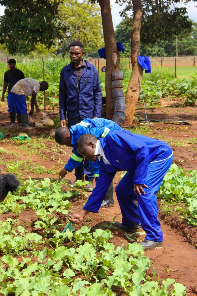 566fe2766e3d433fb0c433ad38899cf4