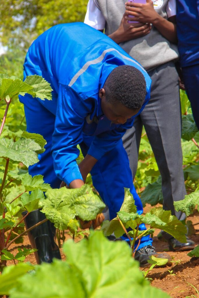 5ed39b5040a943d0b98cc7bb5dcb42f0