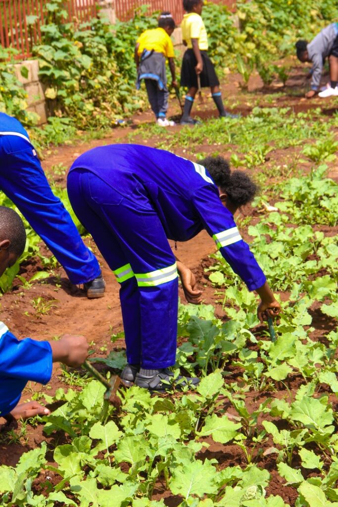 6420603342e340b9a4f304c413782b30