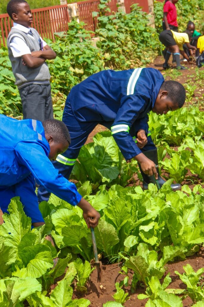 70aa83586a6d42beb19d0bbb2aedbdbe