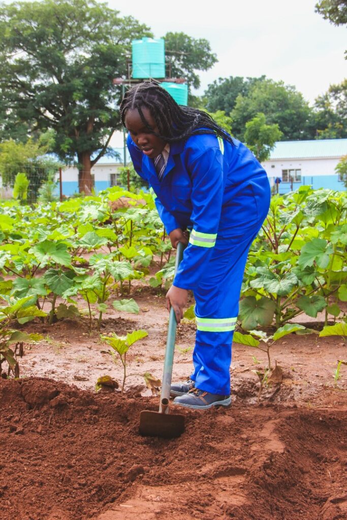 86839c6f106c4a2fa6493f7bd3a167f8