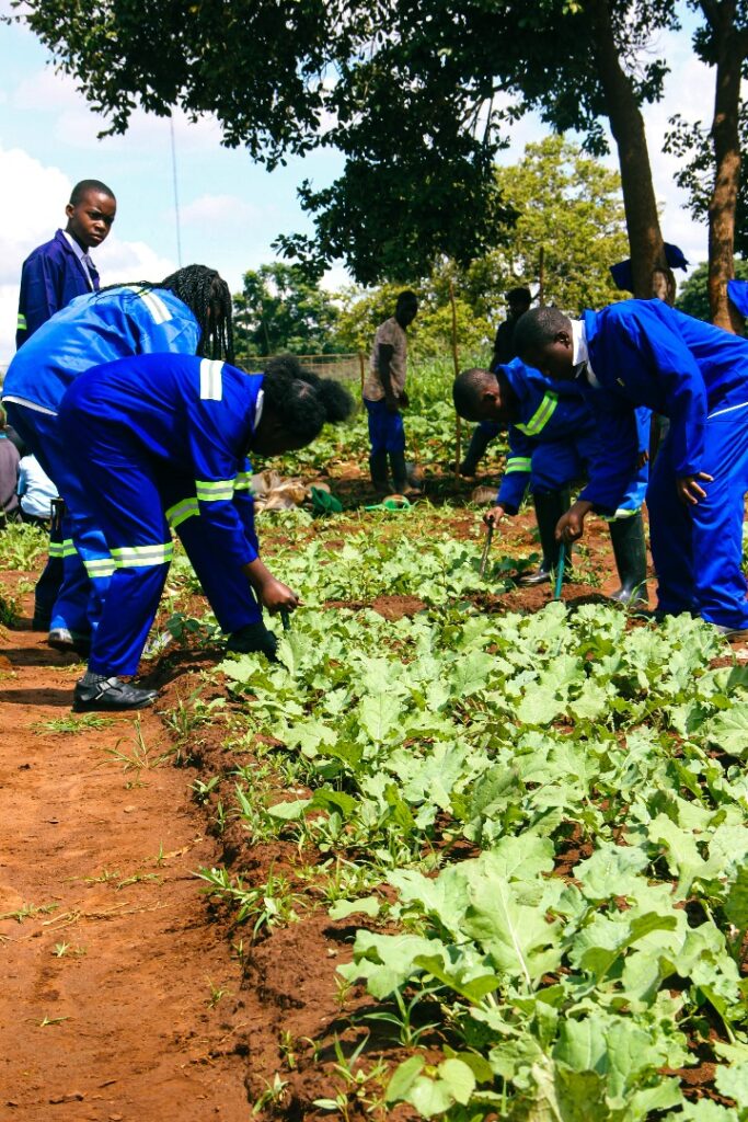 985f5a6c9de64bc095c0360bd58390a6