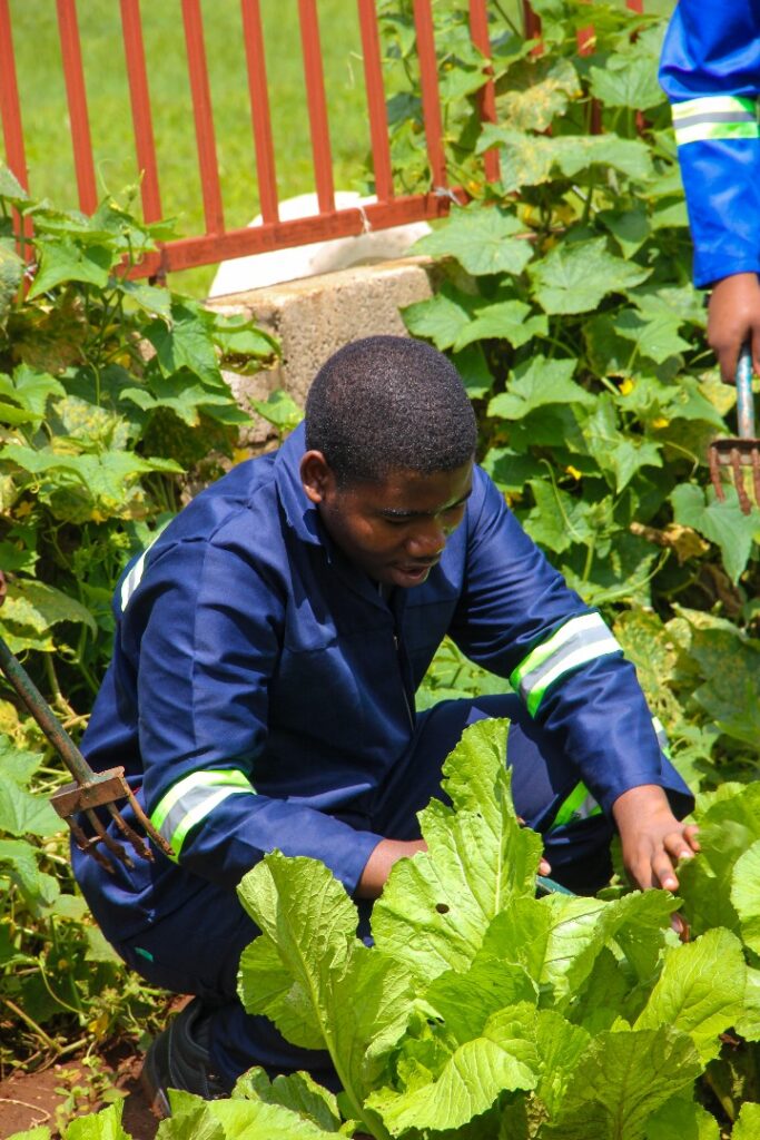 ada244aabd6f44d48a5bbb4a92d68996