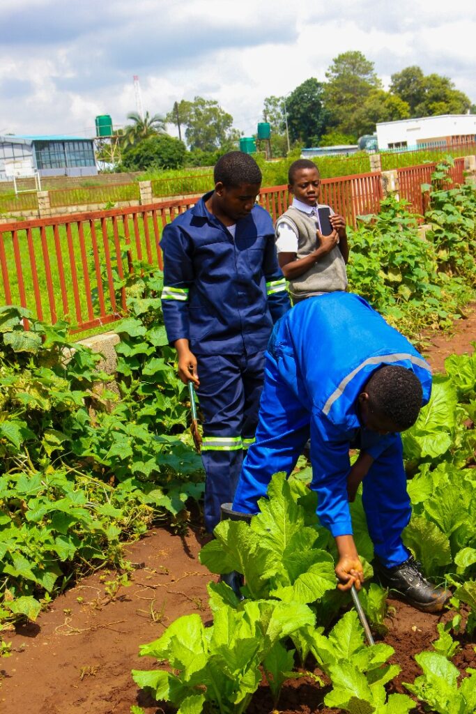 b8f81aaddfd849279a41e465f5b80730