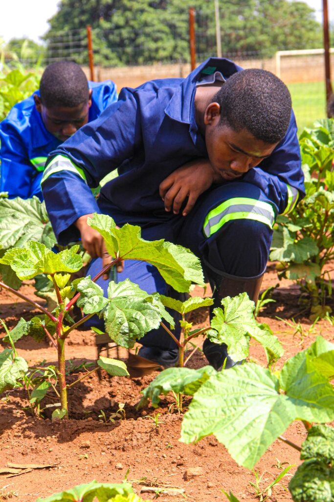 df2c34413b8047dfa43b01c6d66468c4