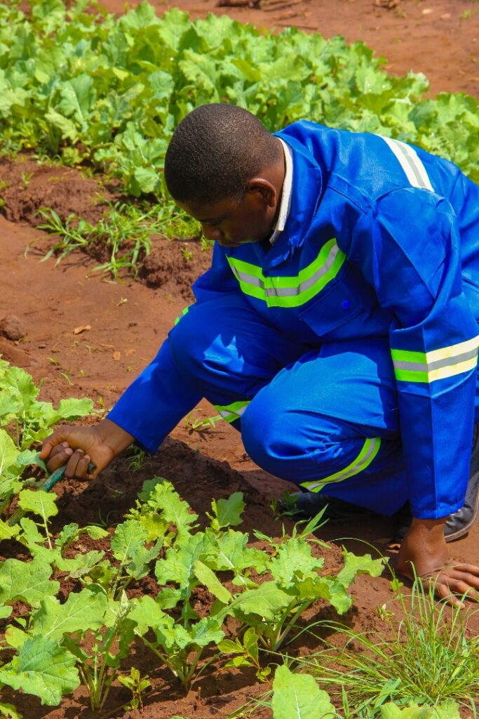 eba19123186b48f382ada3b254a6b00f