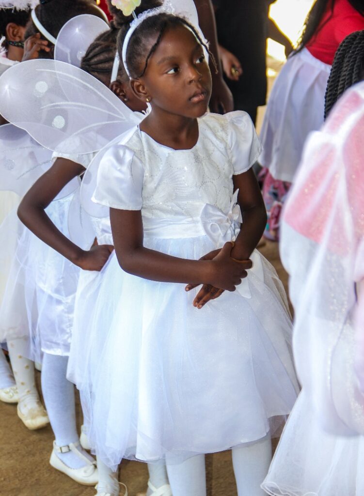 f118cfd3ff4844b9bb0a12e8f7ed9bc5