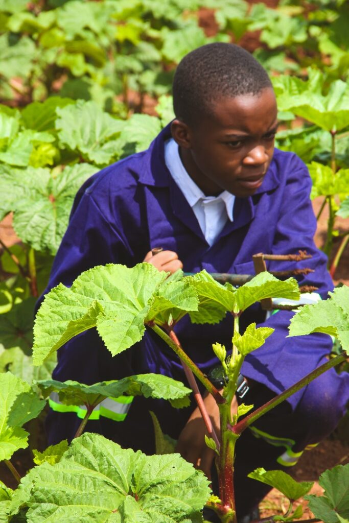 f6932750224b4769a4772b529d463d02